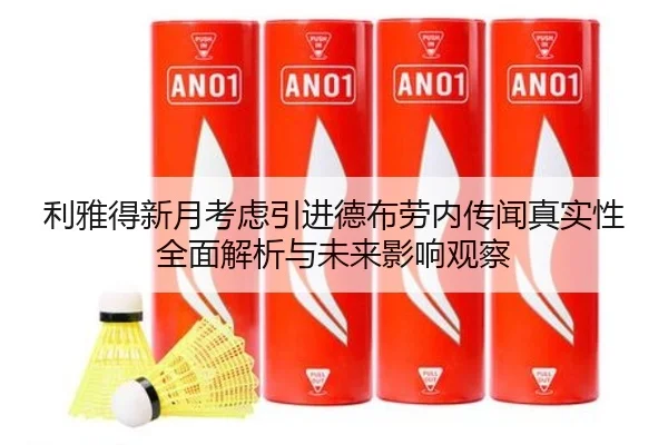 利雅得新月考虑引进德布劳内传闻真实性全面解析与未来影响观察